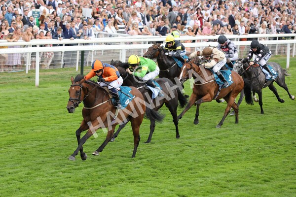 yr23072022r7-16 - Race 7 5.35pm Sky Bet Paying Extra Places Stakes