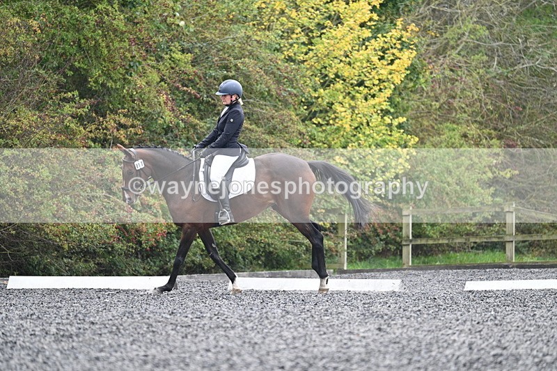 WJ7_3857 - Time 11:04 to 11:38