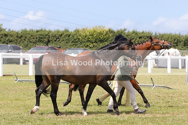 1X9A4877 - Class 35: Veteran In Hand
