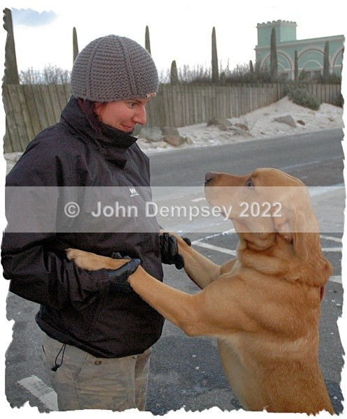 Flint  talks to Amanda. - Walking the Dog