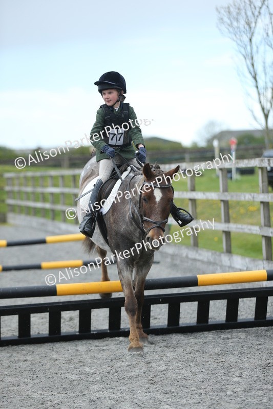 20260412-1853 - Show Jumping