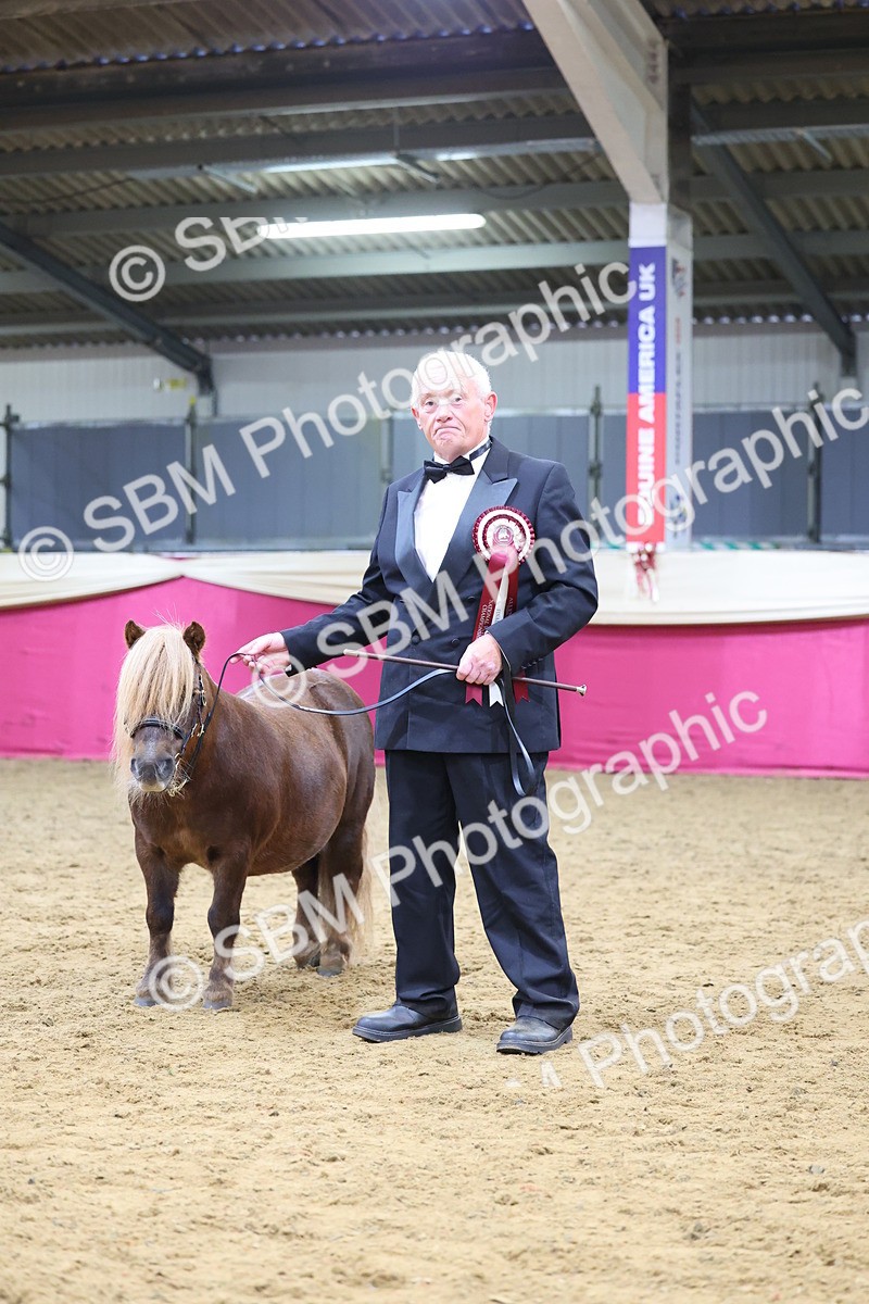 SBM_21158 - Class 902 - Supreme Final IH Veteran