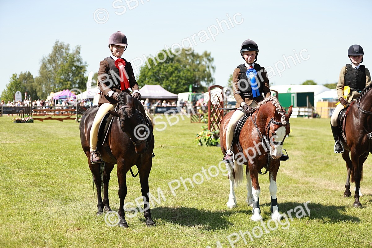 SBM_17660 - Class 112-113 - BSPS LIHS Working Sports Pony