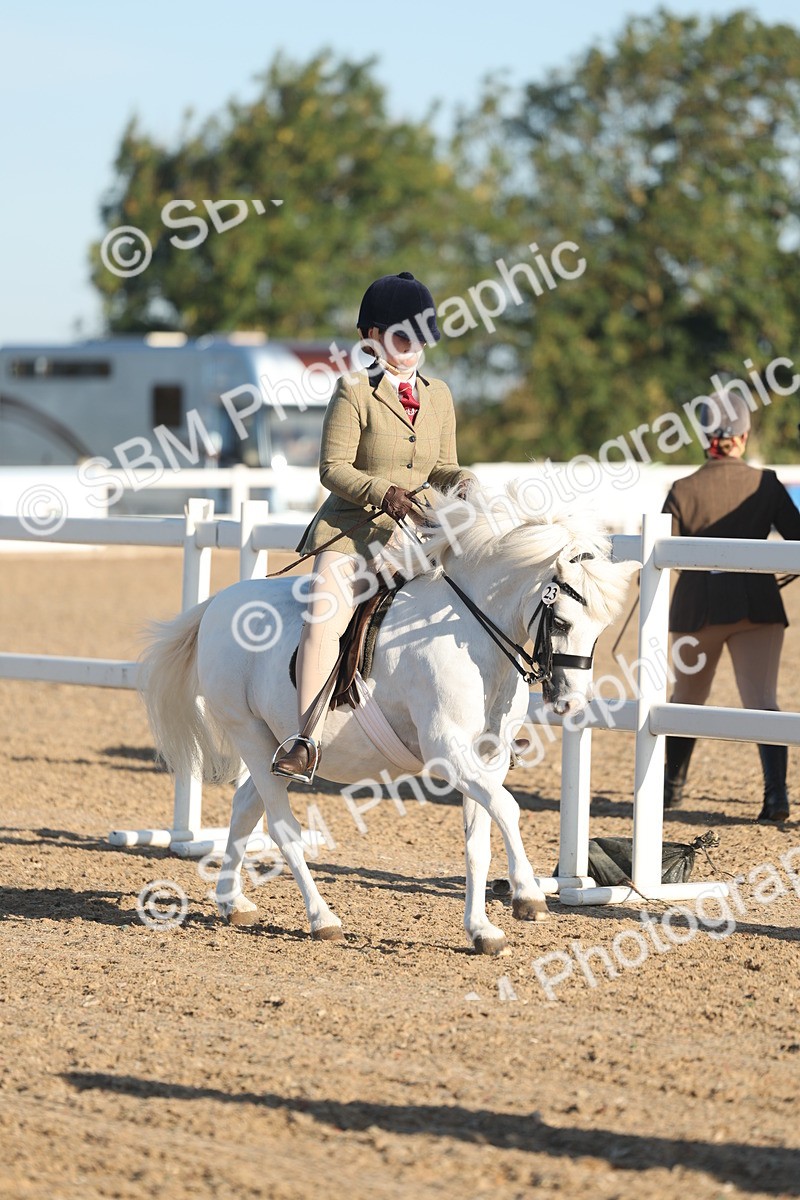 SBM_10904 - Class 301 - Ridden M&M Small Breeds