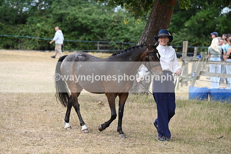 WJ6_7956 - Class 10 Coloured in Hand