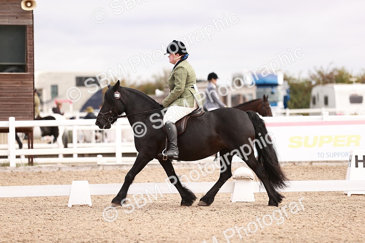 SBM_02458 - Class 35 - Intro 3