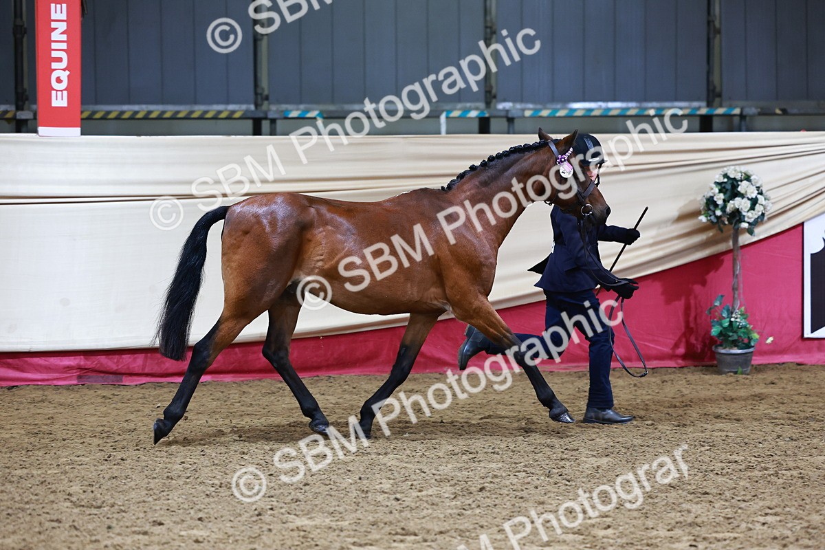 SBM_22127 - Class 902 - Supreme Final - IH Diamond