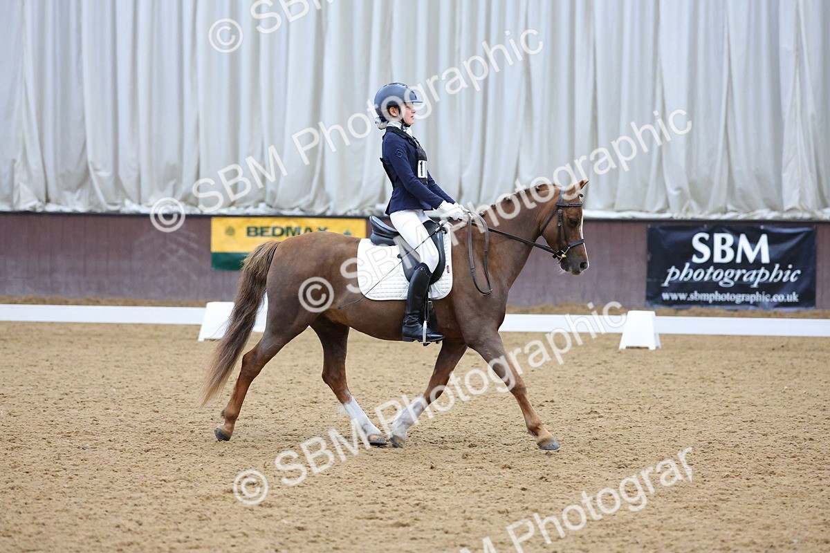 SBM_003663 - Novice