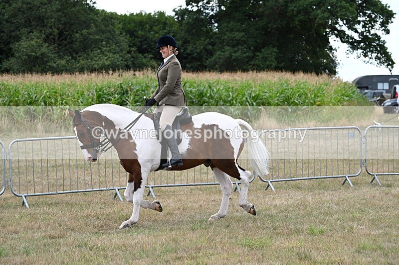 WJ7_5008 - Class 12 Ridden Cob