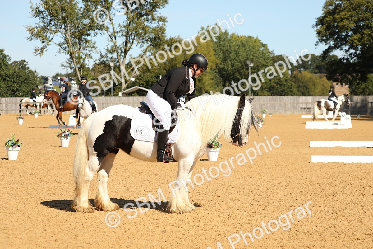 SBM_19643 - D10 - Small Tour Championship - Prelim 2
