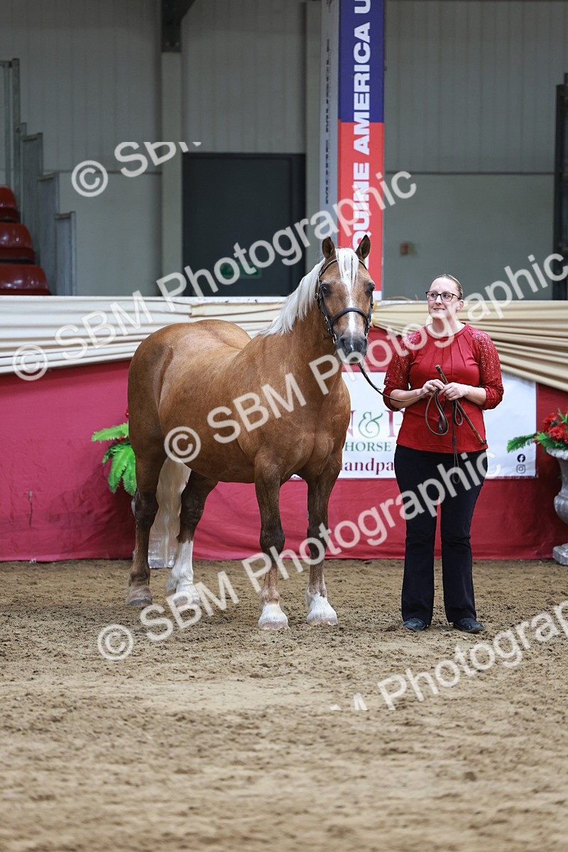 SBM_17589 - Class 951 - M&M IH Supreme Final