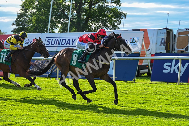 310526-Race 6-Mountain Road-9296 - Race 6 18.15pm Sky Bet For The Fans Handicap
