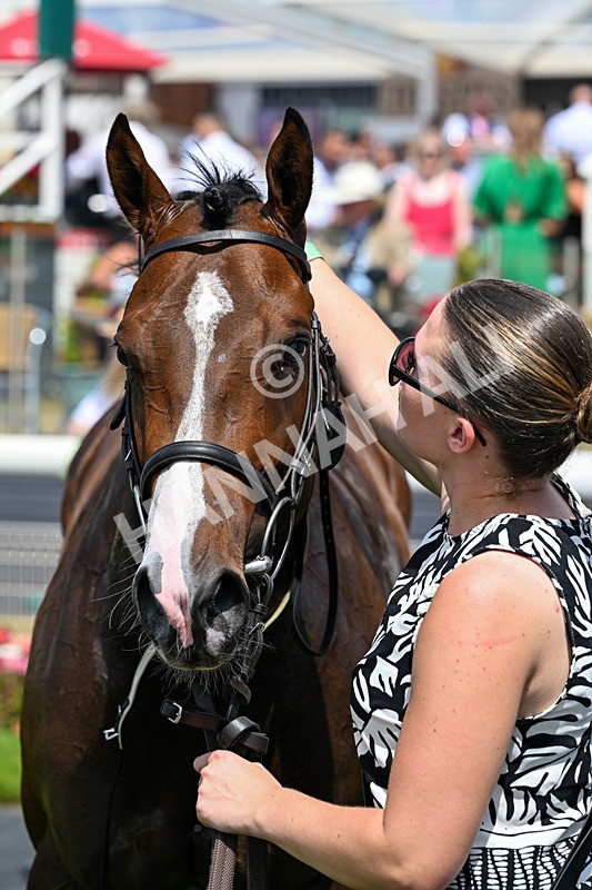 110726-Race 1-Big Cigar-6570 - Race 1 14.02pm John Smith's Nursery Handicap