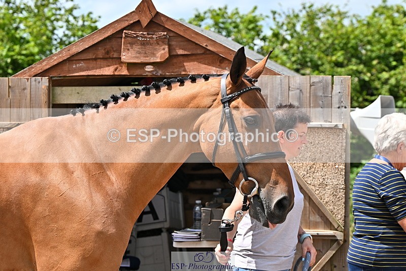 240718A-105259-01418 - Trot Up 12pm to 1pm