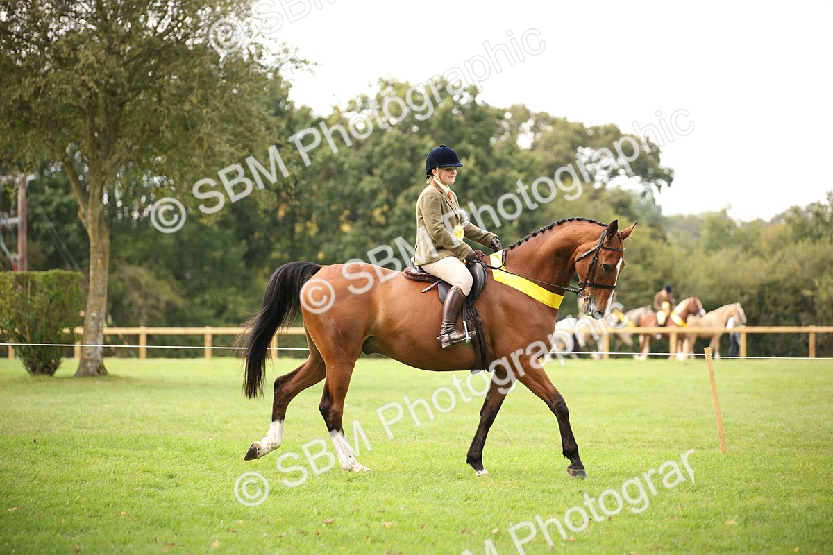 SBM_73607 - Ridden Horse Supreme Championship