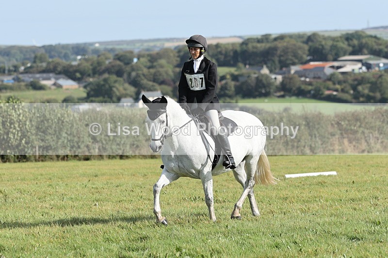 JPP_8064 - Class 2A: Trekenning Open: Dressage
