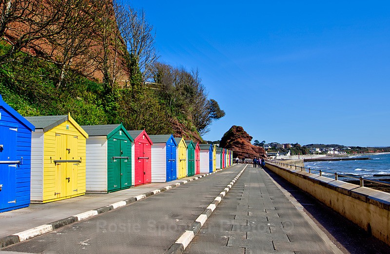 Coryton Cove Beach Huts Dawlish - Dawlish and Black Swans