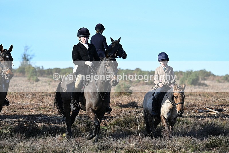 WJ7_7367 - Line 3 (no line 4 or 5)