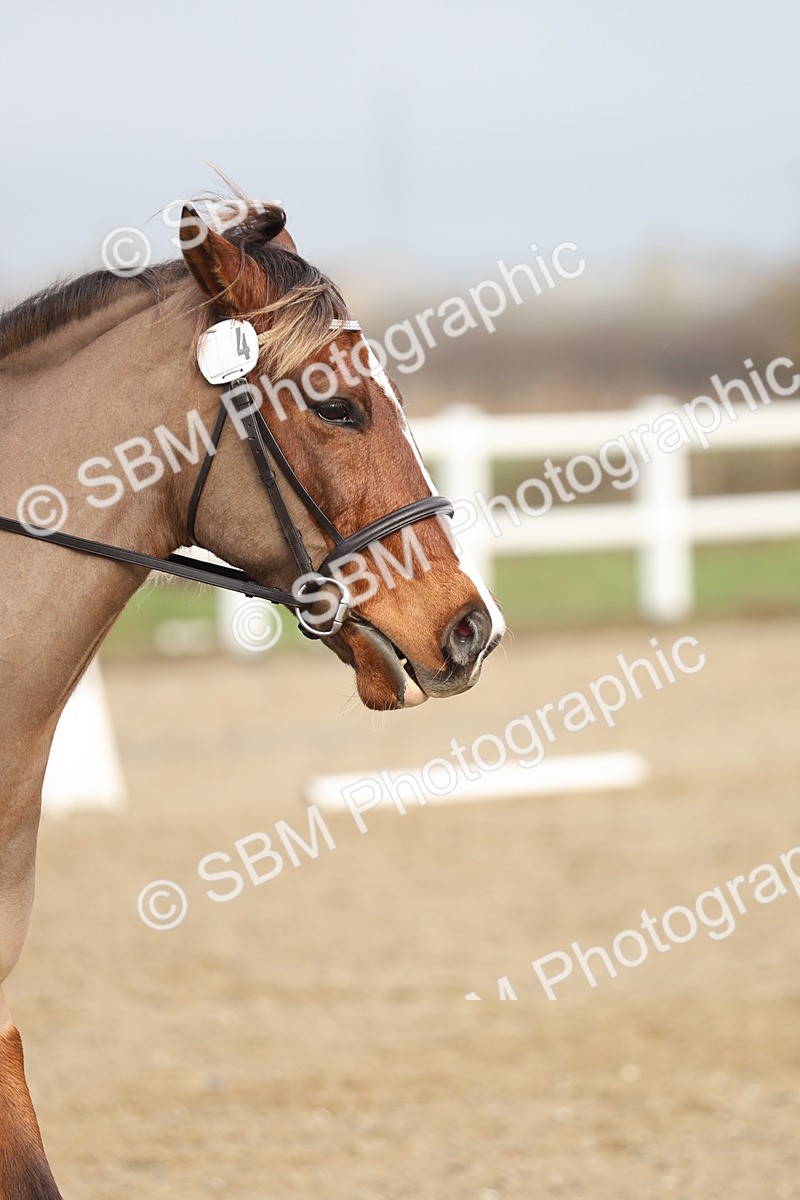 SBM_001882 - Prelim 1