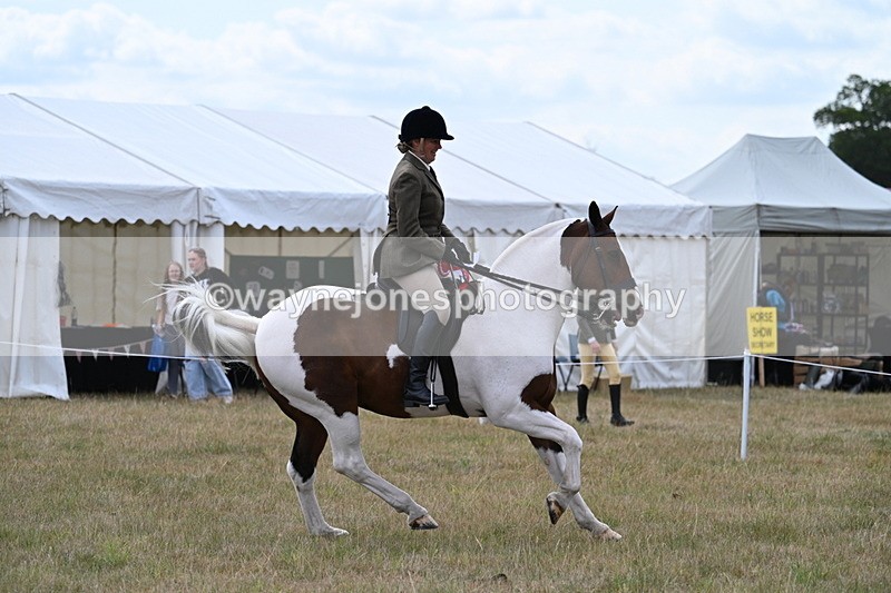 WJ7_5643 - Class 12 Ridden Cob