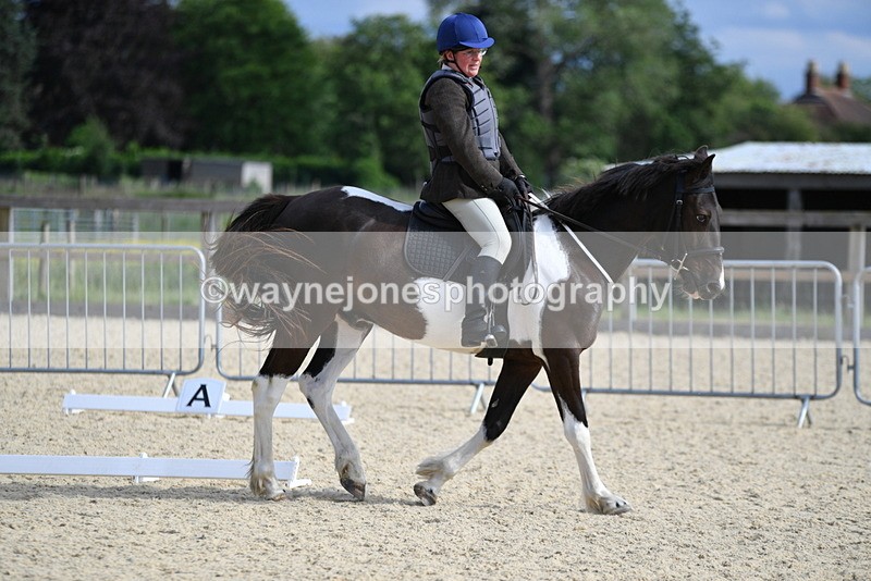 WJ5_7870 - Time 16:56 to 17:14