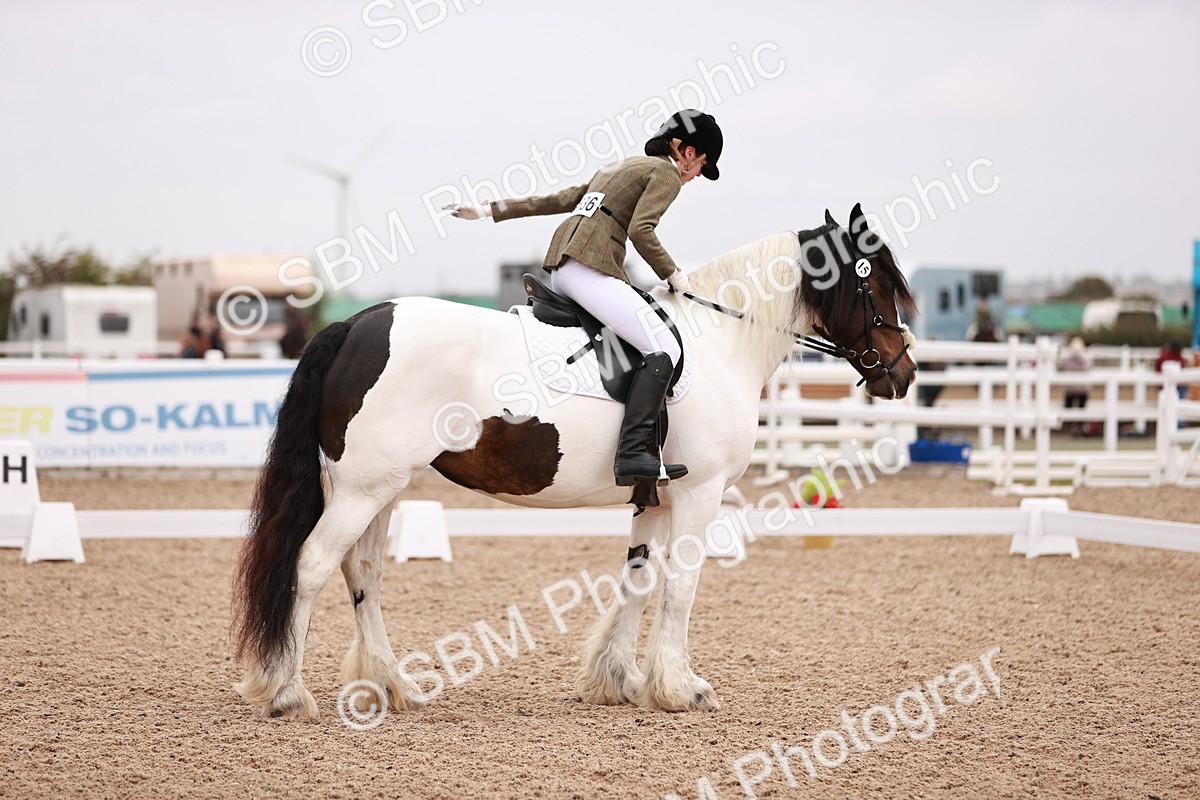 SBM_01716 - Class 34 - Prelim 3