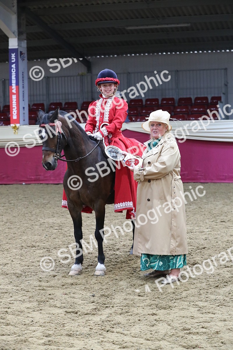 SBM_11296 - Class 104 Ridden Costume - Astride Junior