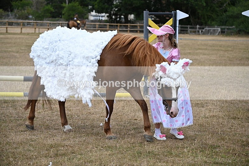 WJ6_8716 - Class 11 Fancy Dress