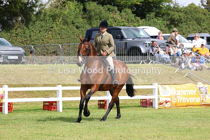 3E7A9395 - Class 4: Rising Star M/H Hunter