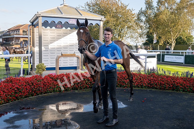 180924-Race 7-Fox Avatar-5632 - Race 7