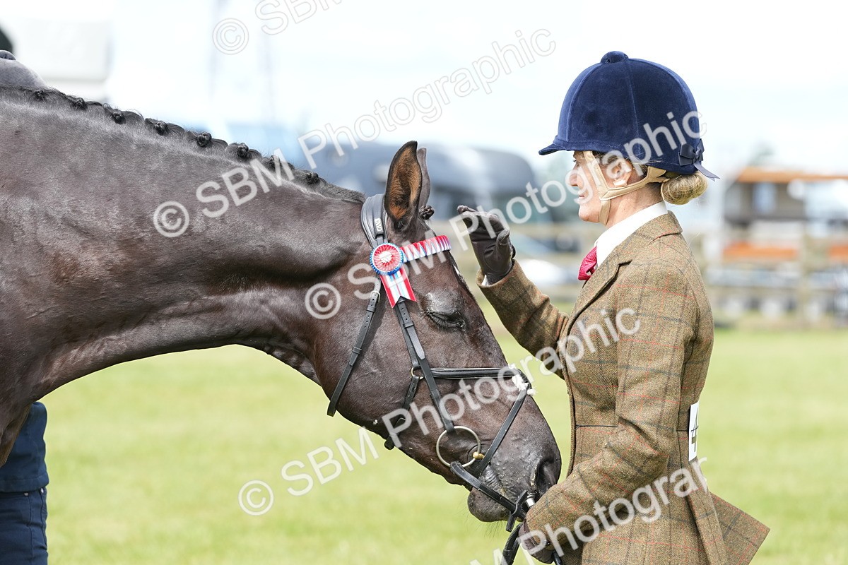 SBM_12942 - Class 99 - RIHS SEIB Working Show Horse