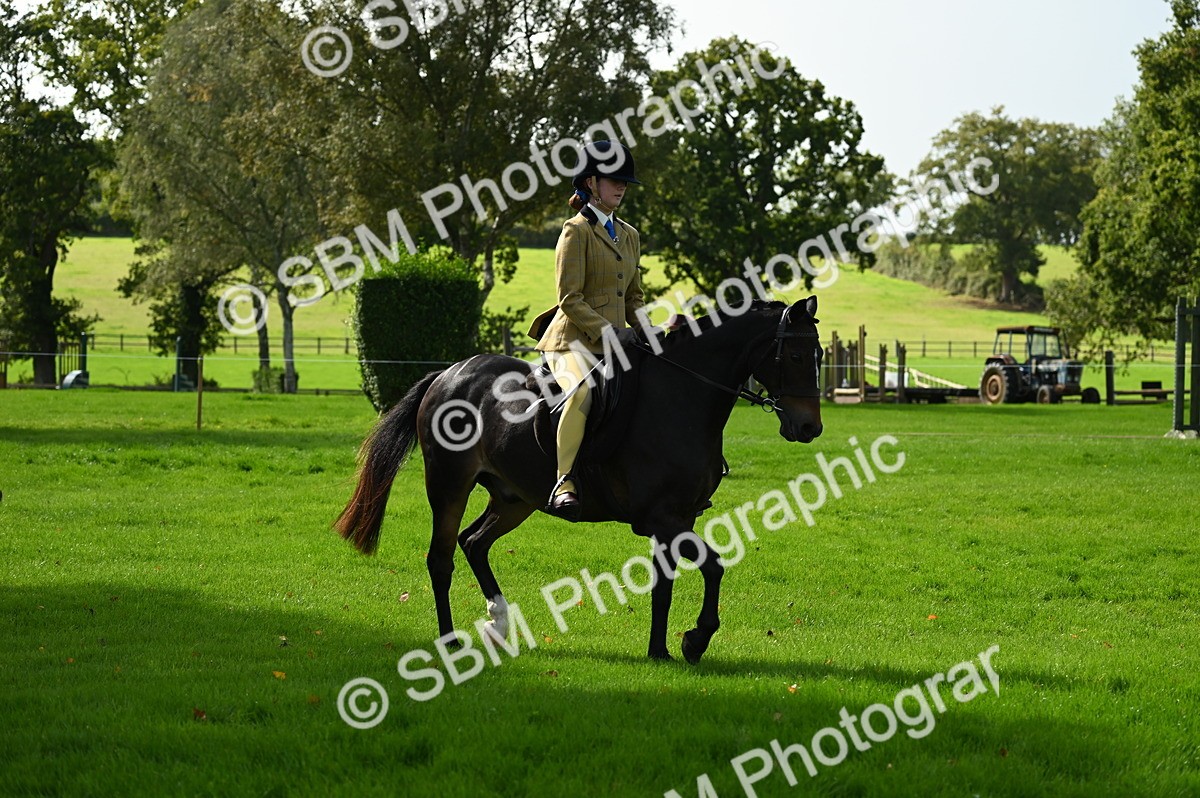 SBM_02716 - S3 - TSR Ridden Pony Showing