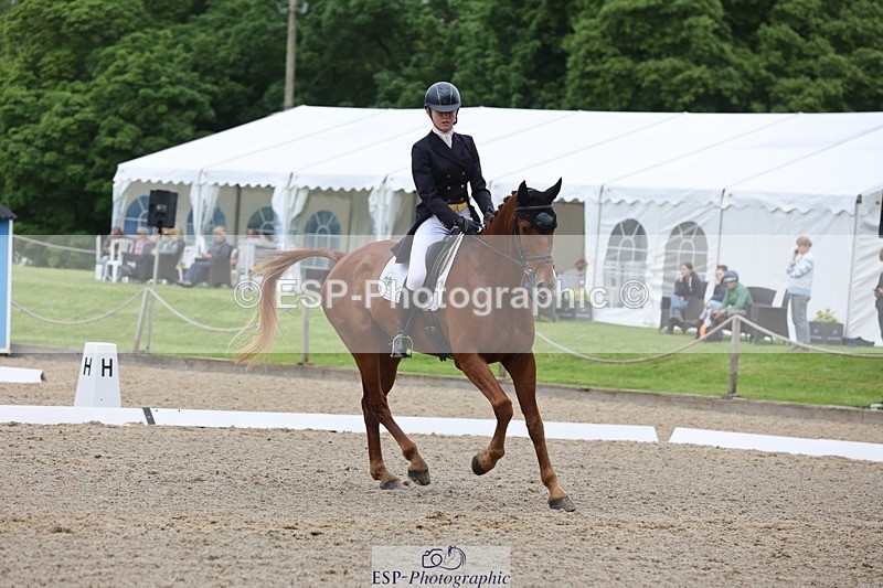 240523-102442-03300 - 212-RIVERSTOWN_ROYAL-Georgie_Frow