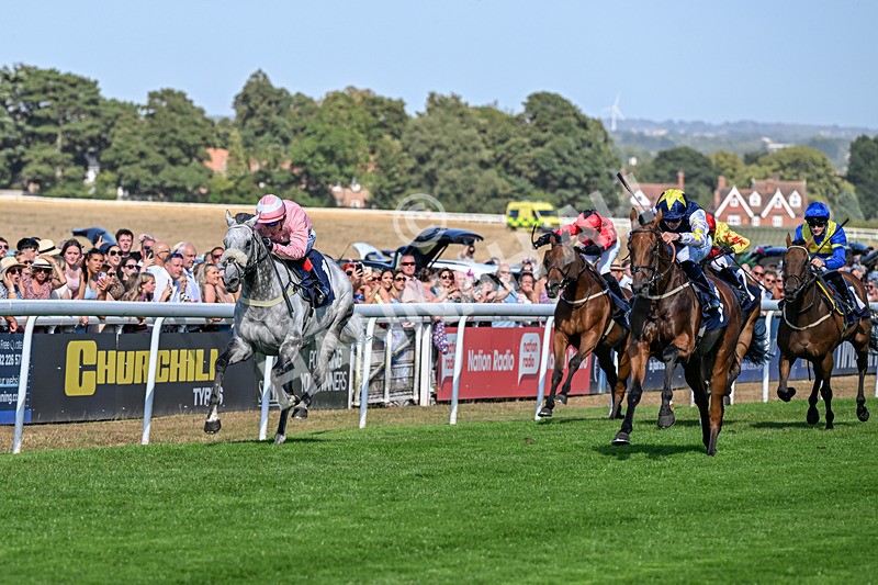 120826-Race 5-Ciao Capo-6945 - Race 5 16.15pm Cayenne Electric At Porsche Centre Hull Handicap