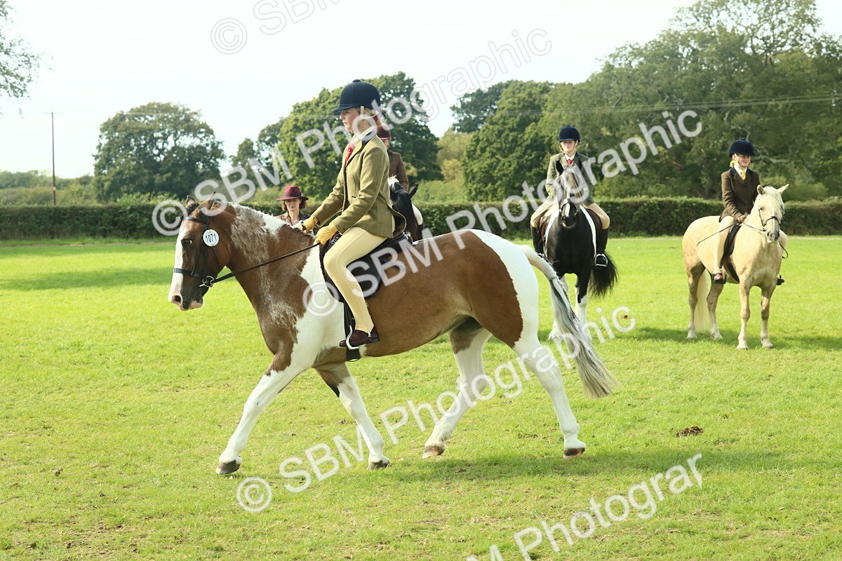 SBM_67646 - S56 - Coloured Pony Ridden
