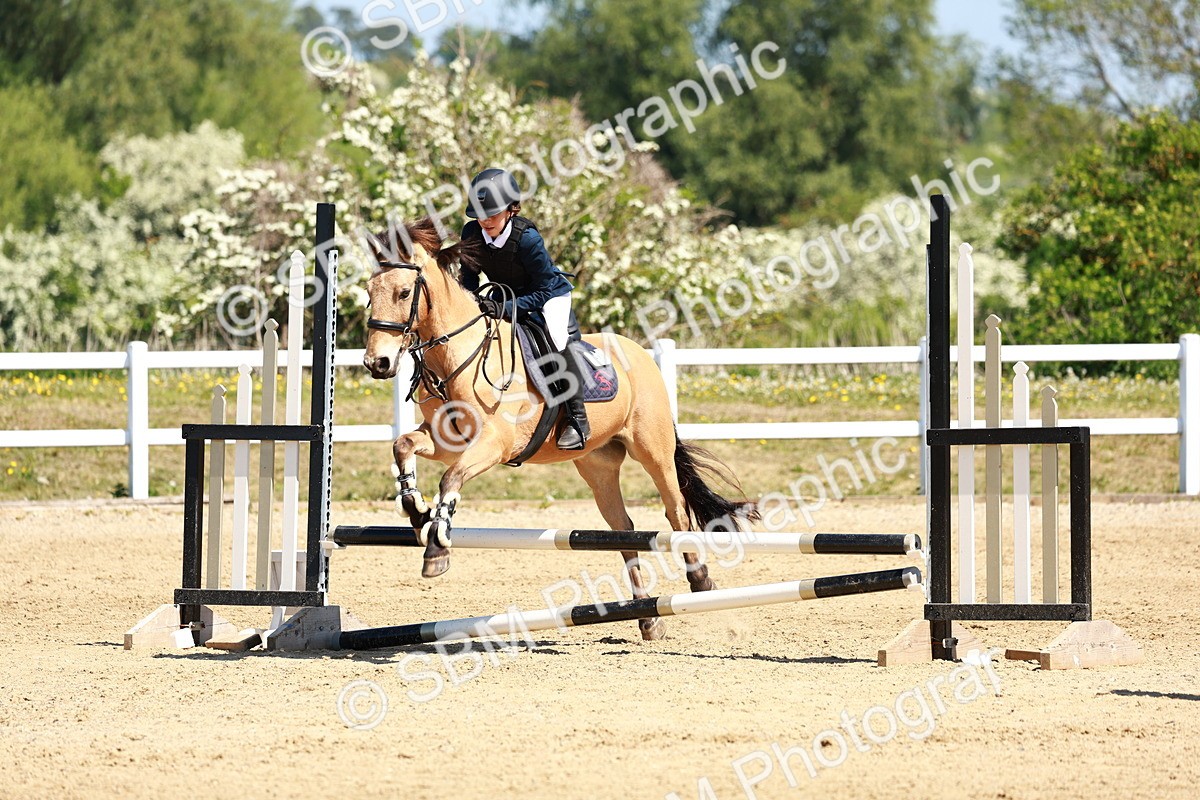 SBM_007560 - Class 3 - 60cm