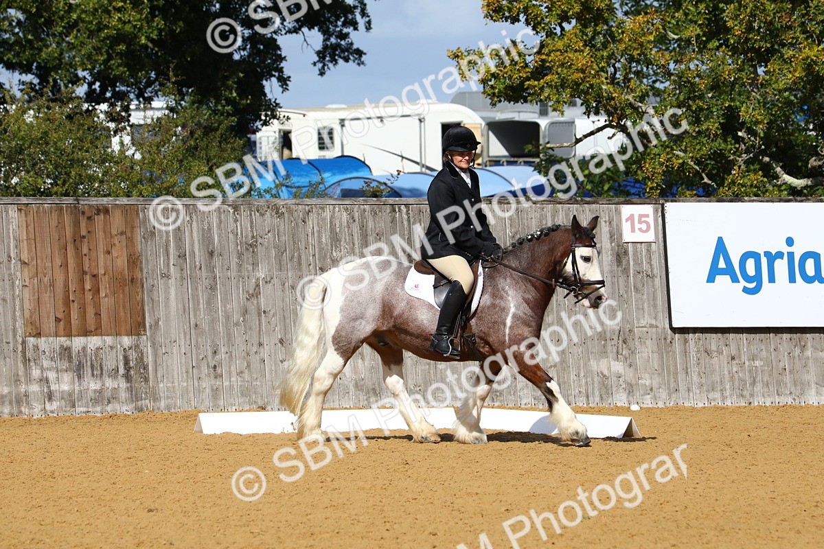 SBM_18377 - D31 - Grand Tour PYO Open .