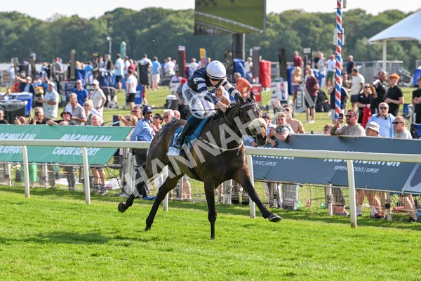 130625-Race 7-Dawn Of Liberation-0165 - Race 7 5.20pm Irish Thoroughbred Marketing Handicap