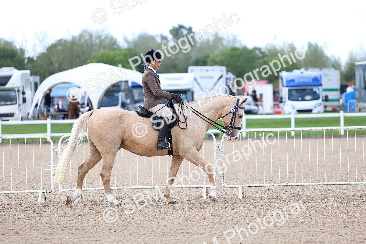 SBM_10027 - Class 304 - Ridden Part Bred Horse Pony