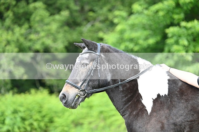 WJ7_1635 - Class 11 Condition & Turnout