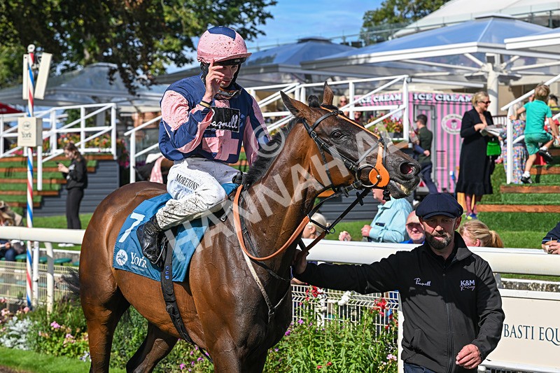 060926-Race 3-Moon Chime-7727 - Race 3 2.40pm Hanson Springs Stayers Handicap