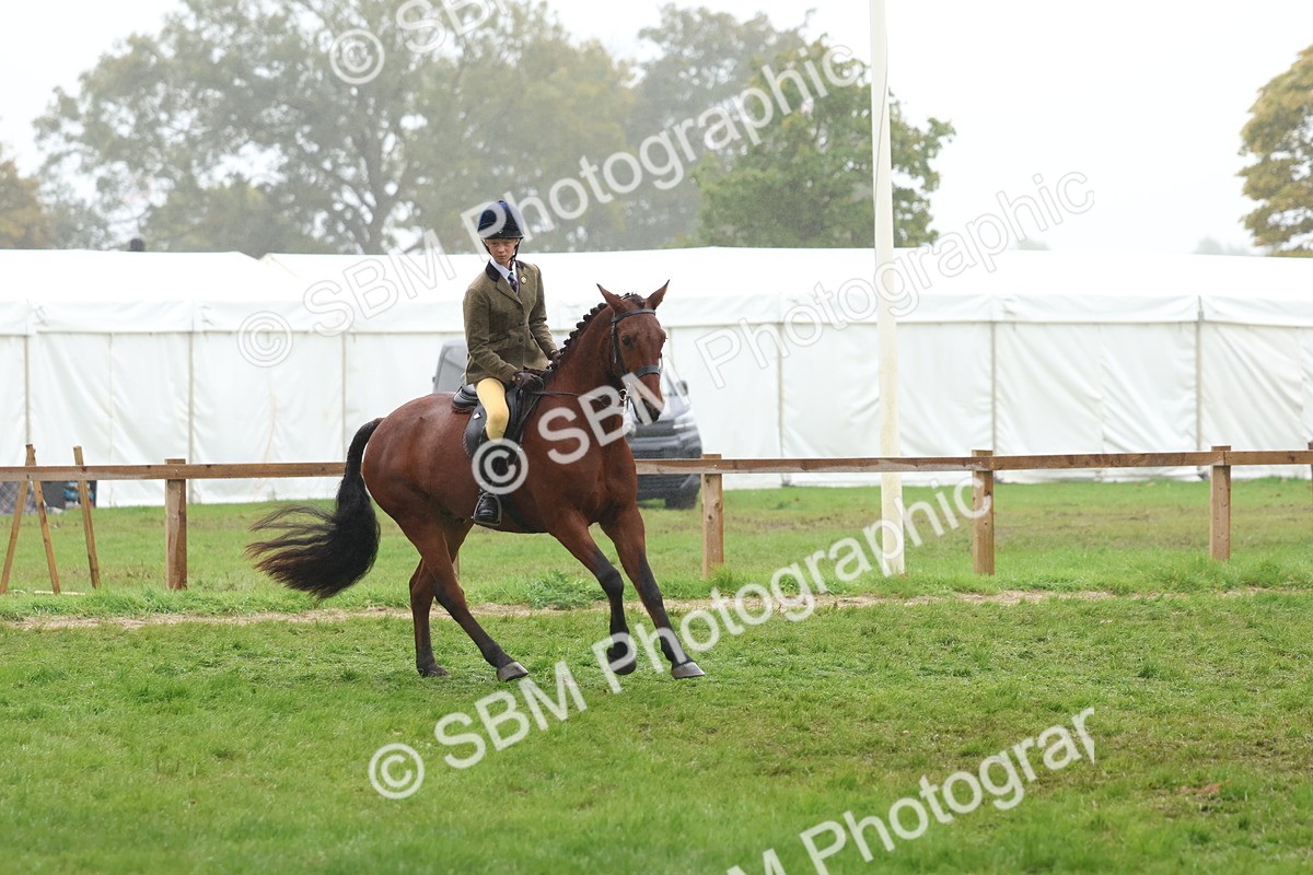 SBM_73014 - S63 Show Pony & Show Hunter Pony Ridden