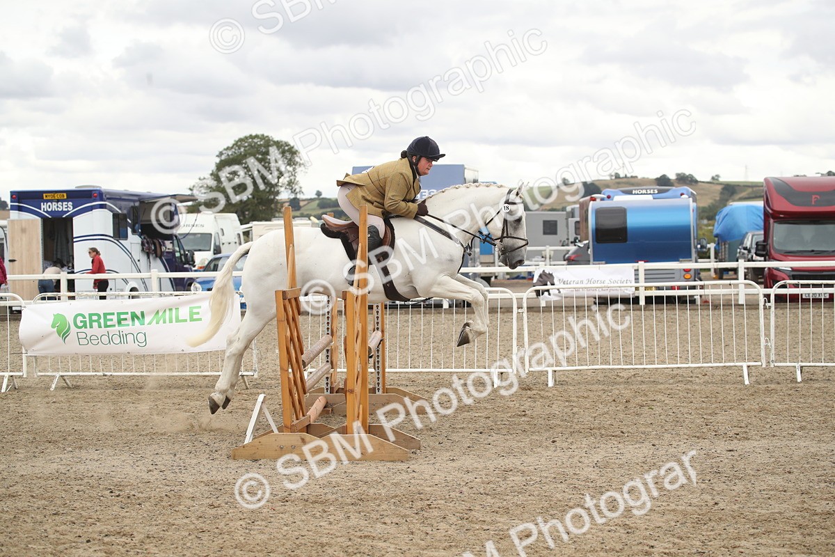 SBM_18256 - Class 509a - Working Veteran - 80cm (15-19)