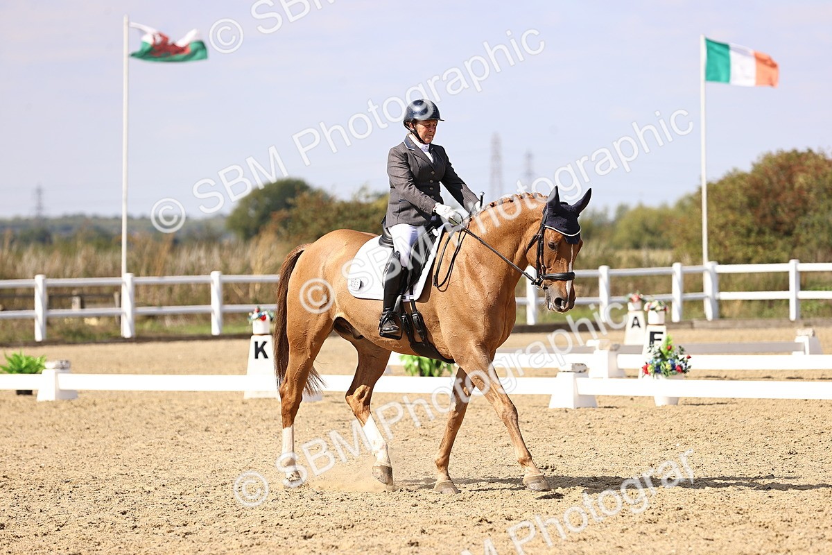 SBM_015095 - Class 6 - Elementary 5