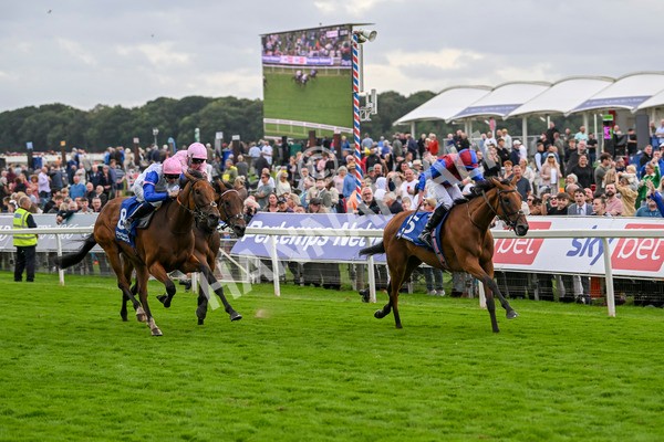 220824-Race 4-Content-7397 - Race 4 3.35pm Pertemps Network Yorkshire Oaks