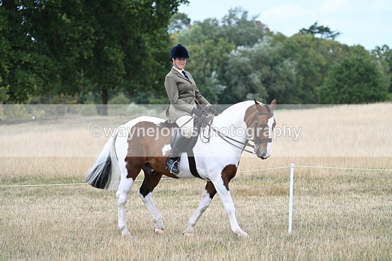 WJ7_4621 - Class 12 Ridden Cob