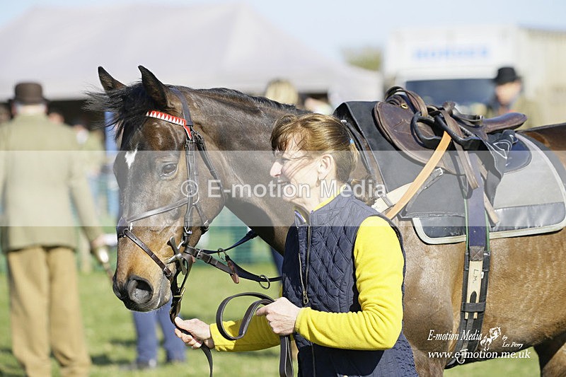 PtP 190322 639 - Wilton Hunt PtP Milborne St Andrew 19/03/22