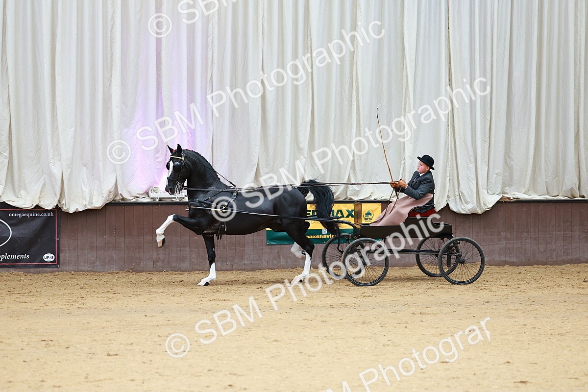 SBM_001012 - Class 13  - HHS Championship Intl Hackney Horse to a Show Wagon