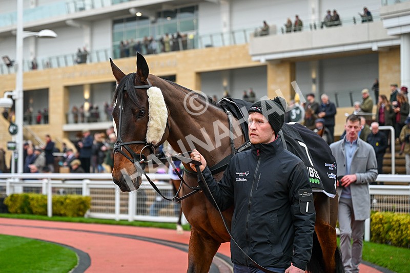 131224-Race 5-Shan Blue-9748 - Race 5