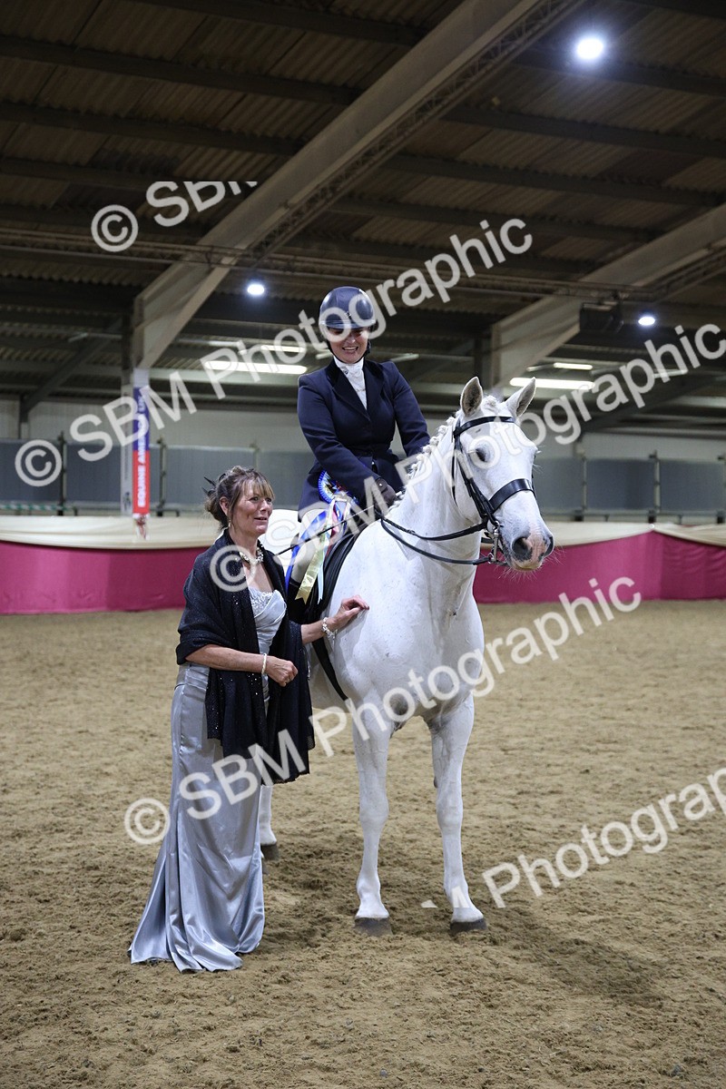 5K7A1569 - Class O Ridden Show Horse Champ